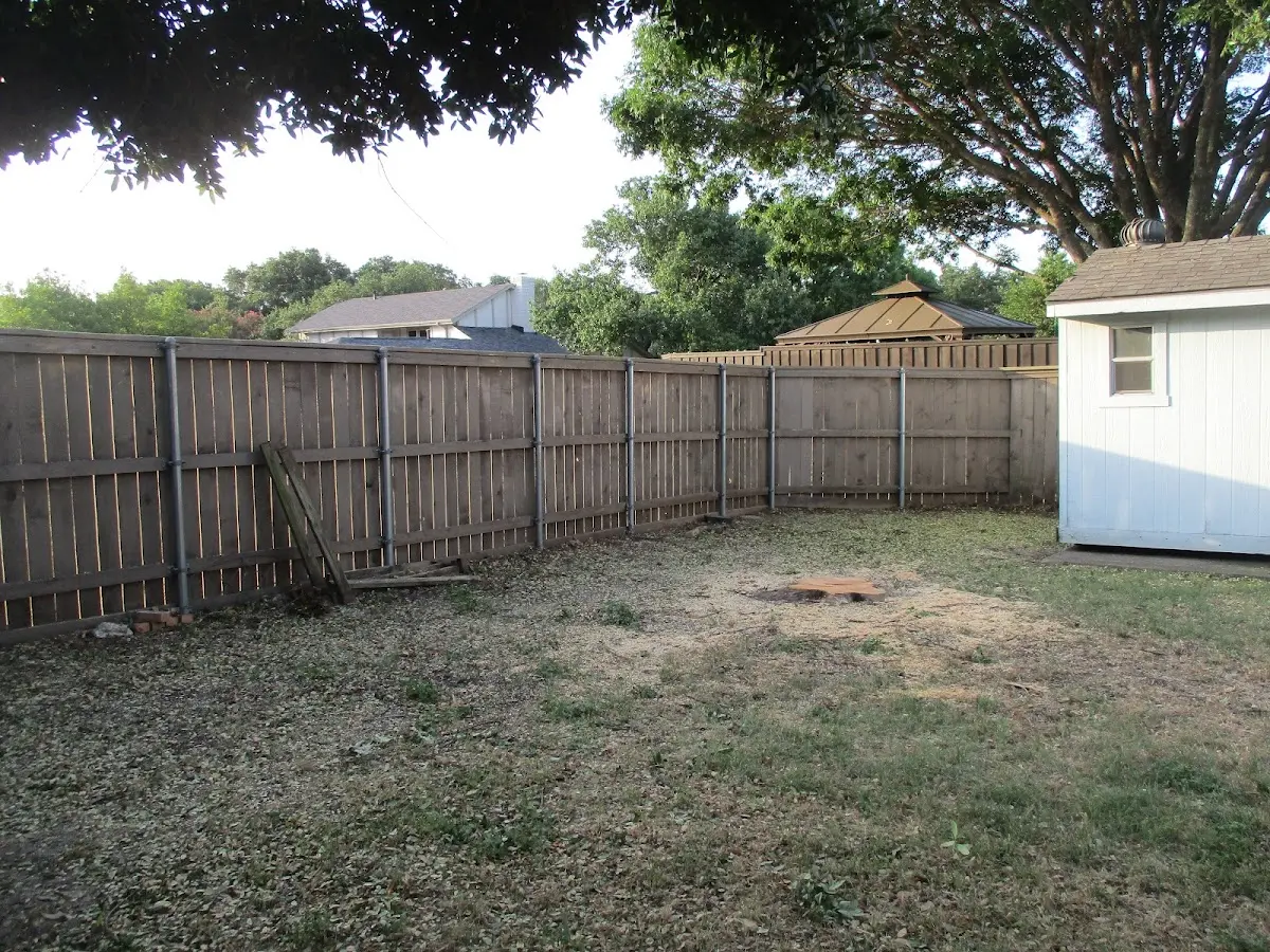 Cleared yard after professional tree removal in Adamsburg